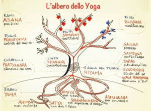 300px Albero yoga 8passi